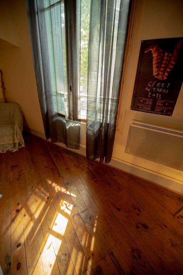 Le Refuge Ceretan, Grand Et Bel Appartement Mansarde En Plein Centre Kültér fotó